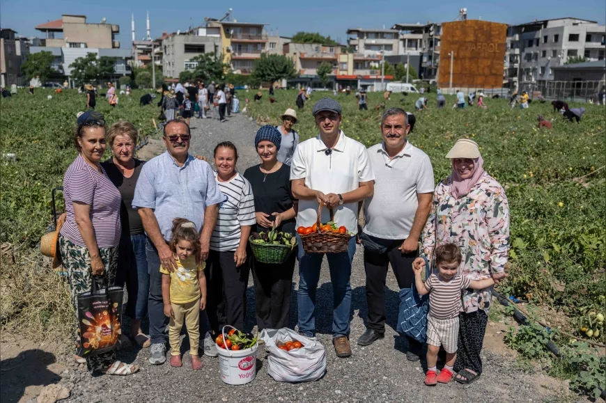 DOĞANLAR KENT BOSTANI'NDA HASAT HEYECANI