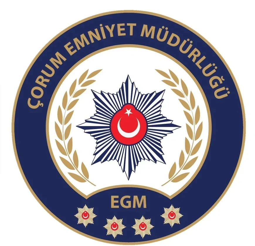 Çorum'da narkotik operasyonunda 20 bin 160 sentetik ecza ele geçirildi, 1 şüpheli tutuklandı