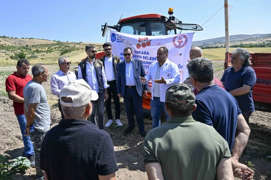 Ankara Büyükşehir Belediyesi domates güvesine karşı Türkiye’de ilk kez ücretsiz Akıllı Böcek Kiti uygulamasını başlattı