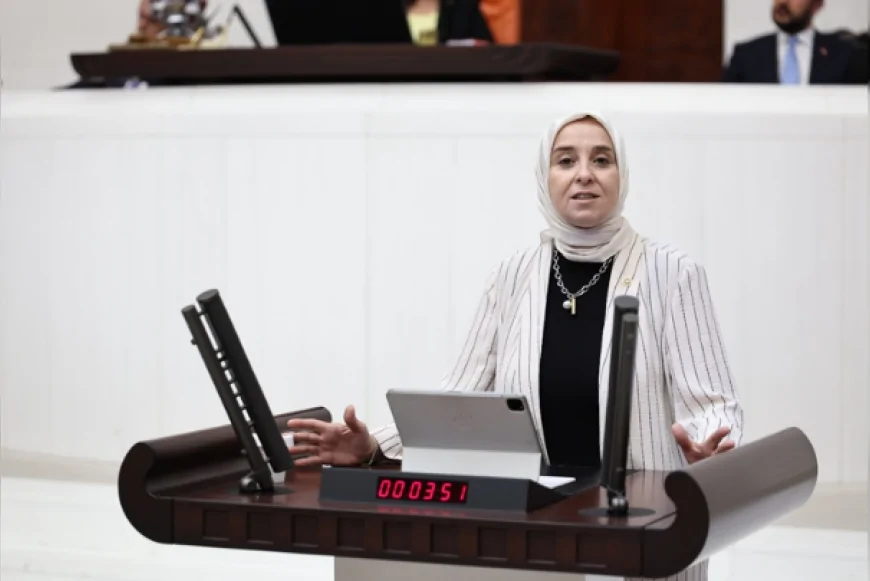 DEVA Partisi Genel Başkan Yardımcısı Elif Esen: “Veri olmadan güvence azaltmak reform değildir”