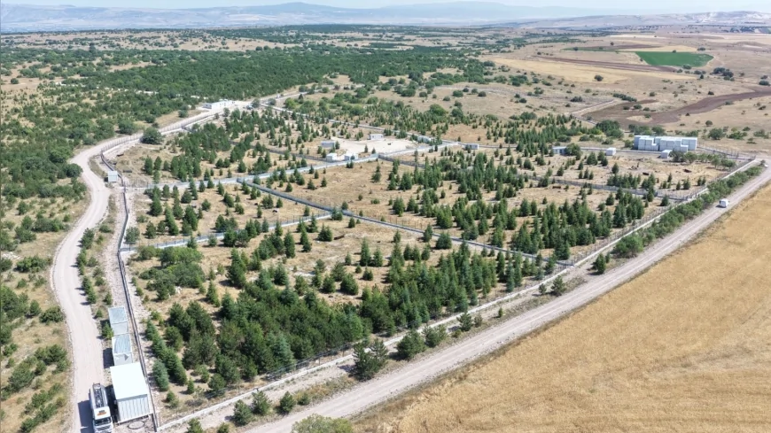Eskişehir Büyükşehir Belediyesi, Kıravdan’da sahipsiz hayvanlar için doğal yaşam alanını büyütüyor