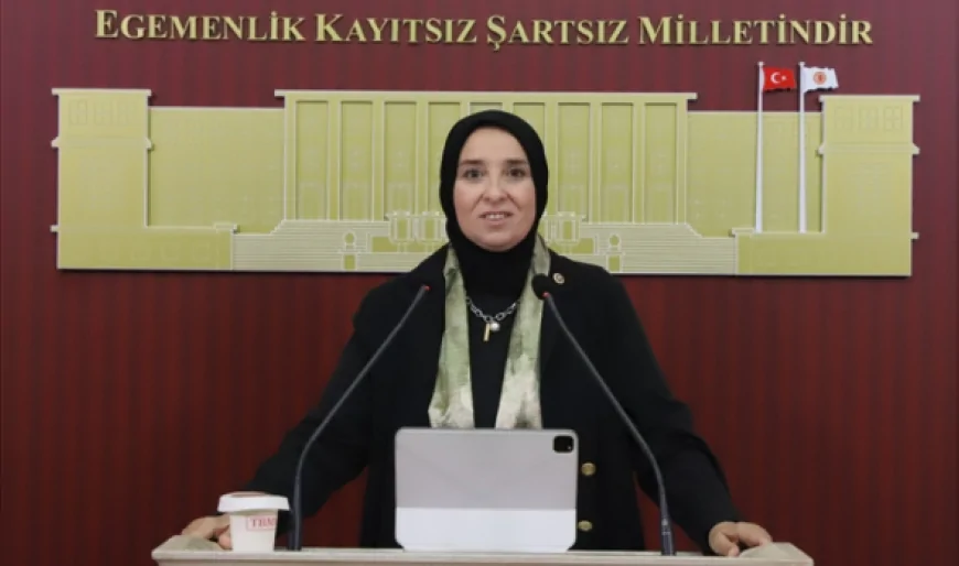 DEVA Partisi Genel Başkan Yardımcısı Elif Esen: “‘Hadi gel köyümüze geri dönelim’ sözü gerçek bir devlet politikası haline gelmelidir”