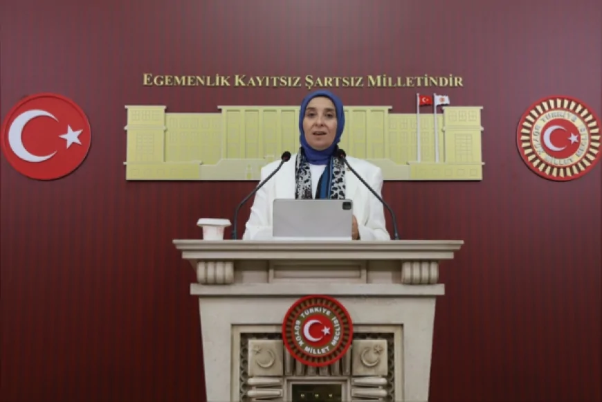DEVA Partisi Genel Başkan Yardımcısı Elif Esen: “Toprağı yaşatmadan nüfusu büyütemezsiniz”
