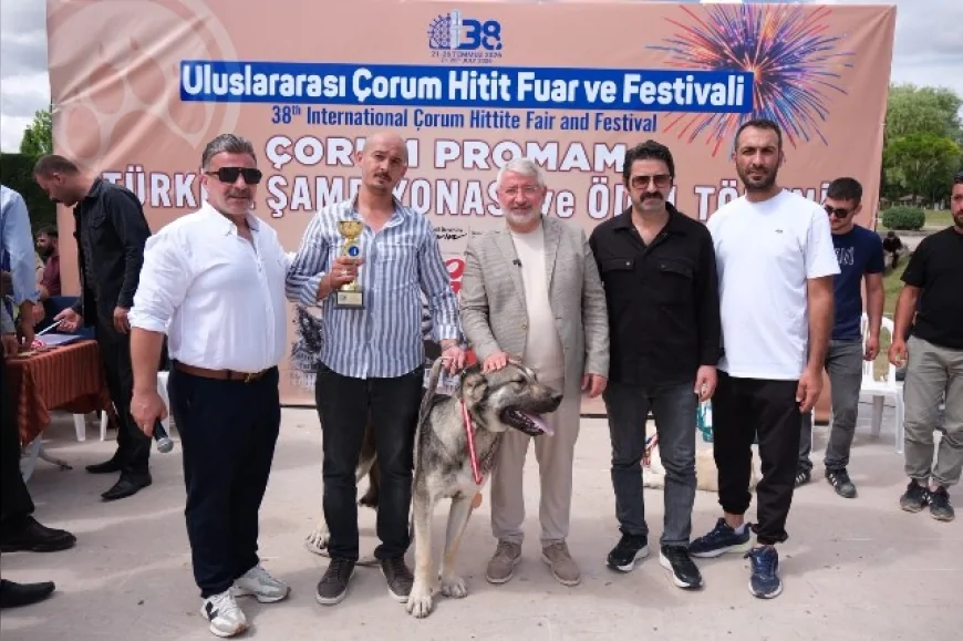Çorum Belediye Başkanı Dr. Halil İbrahim Aşgın: “Yerli Irklarımız Büyük Bir Değere Sahip”