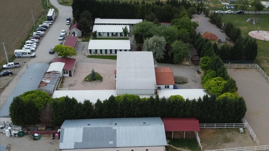 Tepebaşı Belediyesi Sokak Hayvanları İçin Şeffaf Takip Sistemiyle 15 Bin 119 Canı Sıcak Yuvaya Kavuşturdu