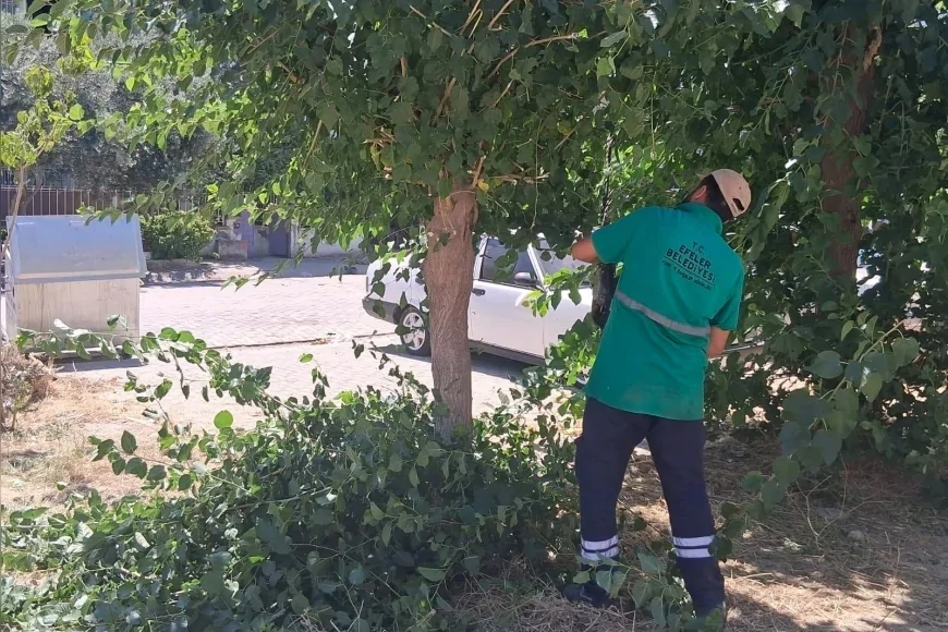 Efeler Belediyesi Mimar Sinan Mahallesi'ndeki Parklarda Kapsamlı Bakım Çalışmalarını Sürdürüyor