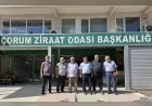 Saadet Partisi Çorum İl Başkanı Şuayip Sarı: “Teşkilatımız Her An Seçime Hazır”