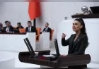 YENİ Parti Genel Başkan Yardımcısı Muğla Milletvekili Av. Gizem Özcan: “Yangına giden orman araçlarından geçiş ücreti alınması kabul edilemez”