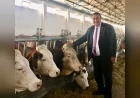 CHP Niğde Milletvekili Ömer Fethi Gürer: “İthalat kotası altı ayda doldu, gemilerle hayvan geliyor ama et yine lüks”