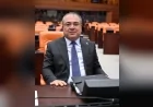 YENİ Parti Aydın Milletvekili Evrim Karakoz: “Yangın Bölgesi Derhâl Afet Bölgesi İlan Edilmeli”