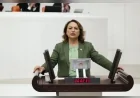 CHP Adana Milletvekili Dr. Müzeyyen Şevkin: “Şengal’de Ezidilere yönelik katliam insanlığın ortak acısıdır”