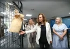 Karşıyaka Belediye Başkanı Yıldız Ünsal: “Galeri Alt ile sanatı günlük yaşamın içine taşıdık”