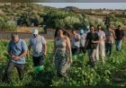 Çeşme Belediye Başkanı Lâl Denizli: “Toprağımızın bize sunduğu değerleri korumayı çok önemsiyoruz”