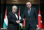 Cumhurbaşkanı Recep Tayyip Erdoğan: “Gazze'nin yeniden imarı ve güvenliğin temini için gerekli koşullar bir an önce sağlanmalıdır”
