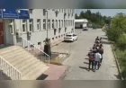 Diyarbakır’da 620 jandarmanın katıldığı operasyonda 247 bin 145 kök kenevir ve skunk imha edildi