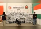 Ticaret Bakanlığı Gümrükler Muhafaza ekiplerinden Kapıkule’de operasyon: 810 kilogram esrar ele geçirildi