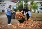 Giresun Belediyesi, Kent Genelindeki Parklarda Kapsamlı Temizlik ve Bakım Çalışması Başlattı