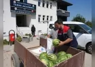 Düzce Belediyesi Tarım Akademisi’nde yetiştirilen karpuzlar ihtiyaç sahibi ailelere ulaştırıldı