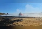 Çorum’da çıkan anız yangını itfaiye ekiplerinin müdahalesiyle söndürüldü, 100 dönüm alan zarar gördü