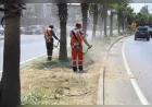 Menderes Belediye Başkan V. Asuman Şen’in Girişimleriyle Çevreyolunda Temizlik ve Bakım Çalışmaları Hız Kazandı