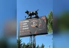 Kastamonu-İnebolu Yolunda Kasap Et Lokantasına Yoğun İlgi, Taze ve Yöresel Lezzetler Yolcuların Tercihi Oldu