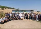 İzmir Büyükşehir Belediyesi engelli kediler için Işıkkent’te ev konforunda yaşam alanı açtı