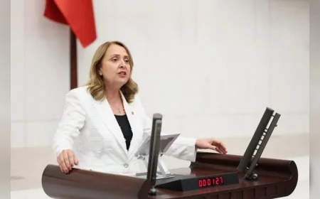 CHP GENEL BAŞKAN YARDIMCISI SEMRA DİNÇER: “GÖSTERİŞLİ ORGANİZASYONLAR DEĞİL, ÇEVRE MÜCADELESİ GÖRMEK İSTİYORUZ”