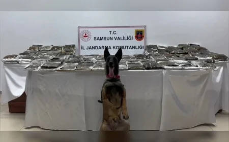 İçişleri Bakanlığı: “Samsun’da düzenlenen operasyonda 132 kilogram toz esrar ele geçirildi”