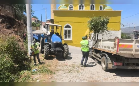 Aydın Büyükşehir Belediye Başkanı Özlem Çerçioğlu öncülüğünde Karpuzlu’da yeşil alanlar kapsamlı bakım ve peyzaj çalışmalarıyla yenilendi