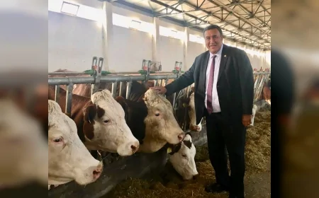 CHP Niğde Milletvekili Ömer Fethi Gürer: “İthalat kotası altı ayda doldu, gemilerle hayvan geliyor ama et yine lüks”