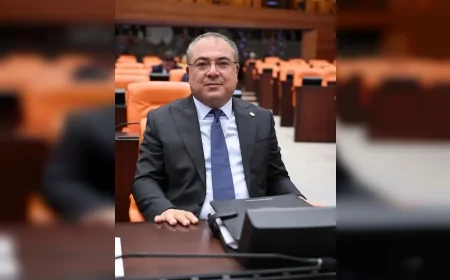 YENİ Parti Aydın Milletvekili Evrim Karakoz: “Yangın Bölgesi Derhâl Afet Bölgesi İlan Edilmeli”