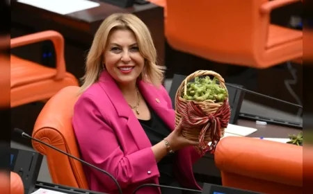 YENİ Parti Giresun Milletvekili Elvan Işık Gezmiş: “TMO, fındık taban fiyatını hasat başlamadan önce en az 350 TL olarak açıklamalıdır”