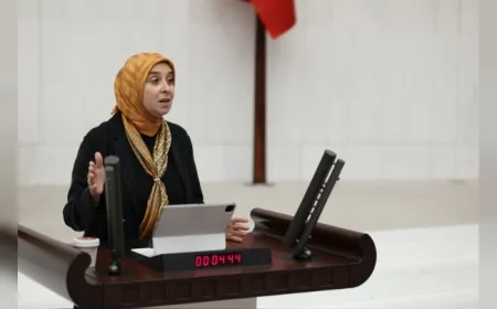 DEVA Partisi Genel Başkan Yardımcısı Elif Esen: “Kırk sekiz saatte çocuk adalet sistemi yazılmaz!”