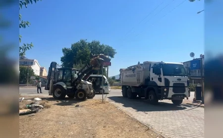 Ayvalık Belediyesi Altınova’da Üç Müdürlüğün İş Birliğiyle Kapsamlı Temizlik Çalışması Gerçekleştirdi