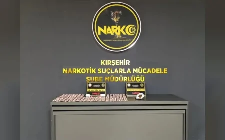 Kırşehir İl Emniyet Müdürlüğünün narkotik operasyonunda 978 sentetik ecza hapı ele geçirildi