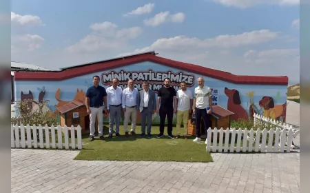 Altıeylül Belediye Başkanı Hakan Şehirli Hayvan Bakımevi’ni Ziyaret Ederek Çalışmaları Yerinde İnceledi
