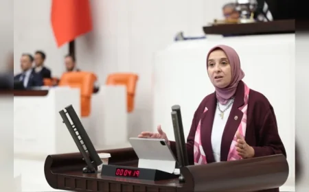 DEVA Partisi Genel Başkan Yardımcısı Elif Esen: “Barış umudunu korurken hukukun sınırlarından vazgeçemeyiz”