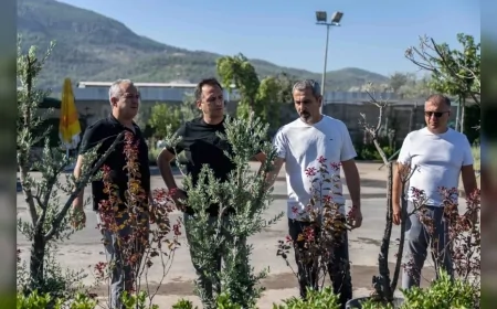Bornova’da 7 dönümlük atıl alan lavantalarla İzmir’in ilk lavanta parkına dönüşecek