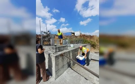 Çevre, Şehircilik ve İklim Değişikliği Bakanlığı: Ambarlı’da denize atık su deşarjı nedeniyle İSKİ’ye 8,3 milyon lira ceza