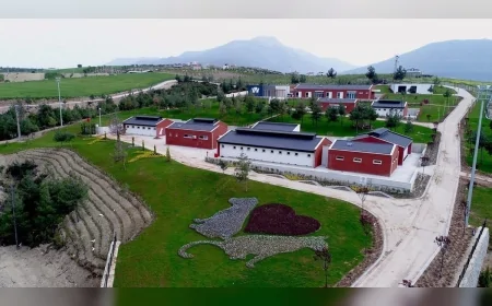 Denizli Büyükşehir Belediyesi Sokak Hayvanları Merkezi’ne ilişkin iddialara suç duyurusu ve resmi denetim açıklaması