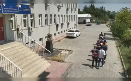 Diyarbakır’da 620 jandarmanın katıldığı operasyonda 247 bin 145 kök kenevir ve skunk imha edildi