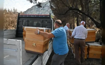 Manisa’da yangından etkilenen arıcıya Büyükşehir’den 20 yeni kovan desteği