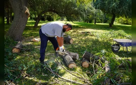 Tepebaşı Belediyesi, kent genelindeki yeşil alanlar için bakım ve budama çalışmalarını sürdürüyor