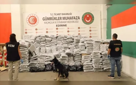 Ticaret Bakanlığı Gümrükler Muhafaza ekiplerinden Kapıkule’de operasyon: 810 kilogram esrar ele geçirildi