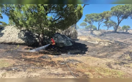 Muğla’da 3 bin 869 açık alan yangınının yüzde 69’unda insan faktörü öne çıktı