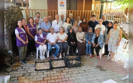 Adana Büyükşehir Belediyesinin Beyaz Zambak Projesinde kadın üreticiler hasadı tamamladı