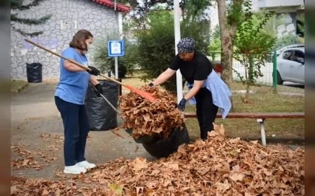 Giresun Belediyesi, Kent Genelindeki Parklarda Kapsamlı Temizlik ve Bakım Çalışması Başlattı