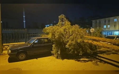 Çorum’da rüzgarın devirdiği çam ağacı otomobil ve hastane araçlarına zarar verdi
