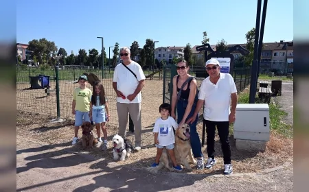 Yalova Belediyesi Millet Bahçesi’nde patili dostlar için 500 metrekarelik Pati Park oluşturdu
