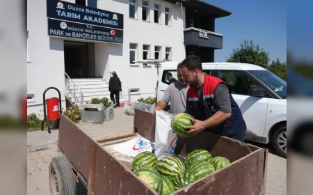 Düzce Belediyesi Tarım Akademisi’nde yetiştirilen karpuzlar ihtiyaç sahibi ailelere ulaştırıldı